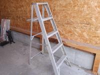 Aluminum 5 Ft Step Ladder