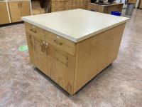 Portable Counter/Cupboard Unit
