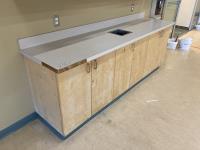 Kitchen Cabinets & Counter