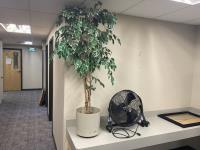 Artificial Plant & Floor Fan 