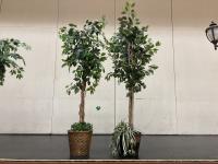 (2) Decorative Artificial Plants 