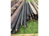 (21±) Oil Treated Fence Posts