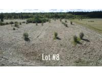 Lot 8, 4.4± Acres, The Ranch Country Estates, Brazeau County, AB