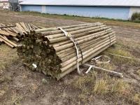 Qty of 3-4 Inch X 12 Ft Posts