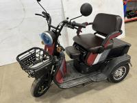 Mobility Electric Trike