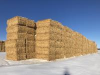 (50) 3X4 Ft X 8 Ft Big Squiare Wheat Straw Bales