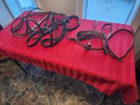 (3) Bridles, Breast Collar and Lead