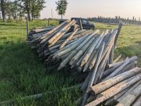 Large Qty of Used Pressure Treated Fence Posts