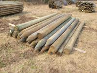 (25) 6-7 Inch X 10 Ft Treated Posts