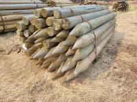 (50) 5-6 Inch X 8 Ft Treated Posts