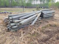 (150) ± 4-5 Inch X 8 Ft Treated Posts
