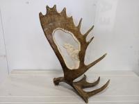Antler with Wolf Carving By D. Halitsky 