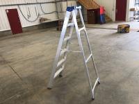 Lite Products Inc 6 Ft Aluminum Step Ladder