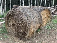 (2) Round Bales of Last Years Cut