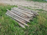 (60) ± 3-5 Inch X 4-7 Ft Fence Posts