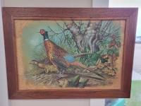 Pheasant Painting On Leaves