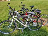 (4) Adult Bicycles
