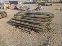 (67) 4-5 Inch X 7 Ft Treated Fence Post