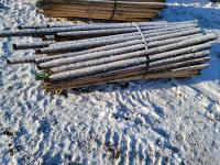 (73±) 3 Inch Fence Posts Peeled and Sharpened 