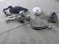 Qty of Waterfowl Hunting Decoys