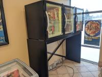 3 Door 72 Inch Display Freezer with Stand