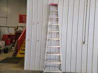 10 Ft Aluminum Ladder