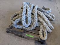 (3) Flamen 30 Ft Heavy Duty Tow Ropes