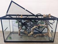 Terrarium and Qty of Decorations