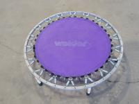 Weider 40 Inch Mini Trampoline