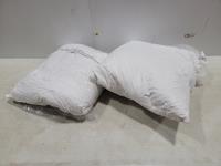 22 Inch X 22 Inch Pillows