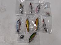 (10) Fishing Lures