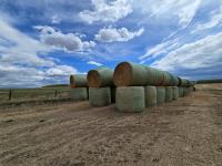 (45) 68- 69 Inch Wheat Straw Round Bales