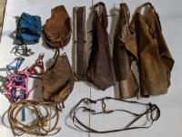 Qty of Equestrian Items