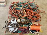Qty of Ropes & Halters