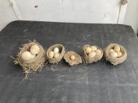 (5) Bird Nests w/ Eggs 