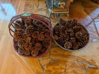 (2) Baskets of Pine Cones