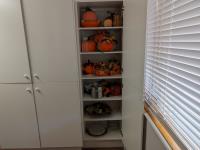 Pumpkin Decor w/ Misc Kitchen Supplies