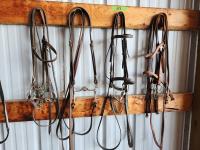 (4) English Style Leather Bridles