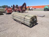 (100) 3-4 Inch X 10 Ft Treated Pointed Post