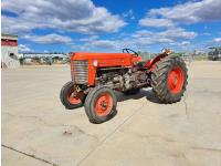 1962 Massey Ferguson MF65 2WD  Tractor