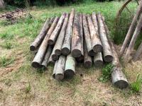 (38) + or - Fence Posts Various Sizes 4" To 6"  7 Ft to 10 Ft long