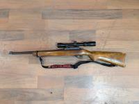 Ruger 10 .22 Rifle