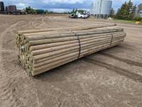 (150) 16 Ft X 2-3 Inch Treated Blunt Rails