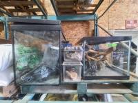 (2) Fish Tanks & Supplies