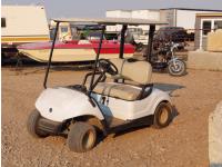 2014 Yamaha YDRAX4 Gas Golf Cart