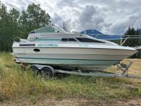 1991 Campion Inboard/Outboard