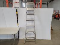 7 Ft Aluminum Ladder