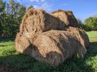 (6) Bales of Hay