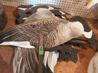 (13) Magnum Lite 3D Canada Goose Decoys