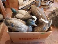 (12) Duck Decoys